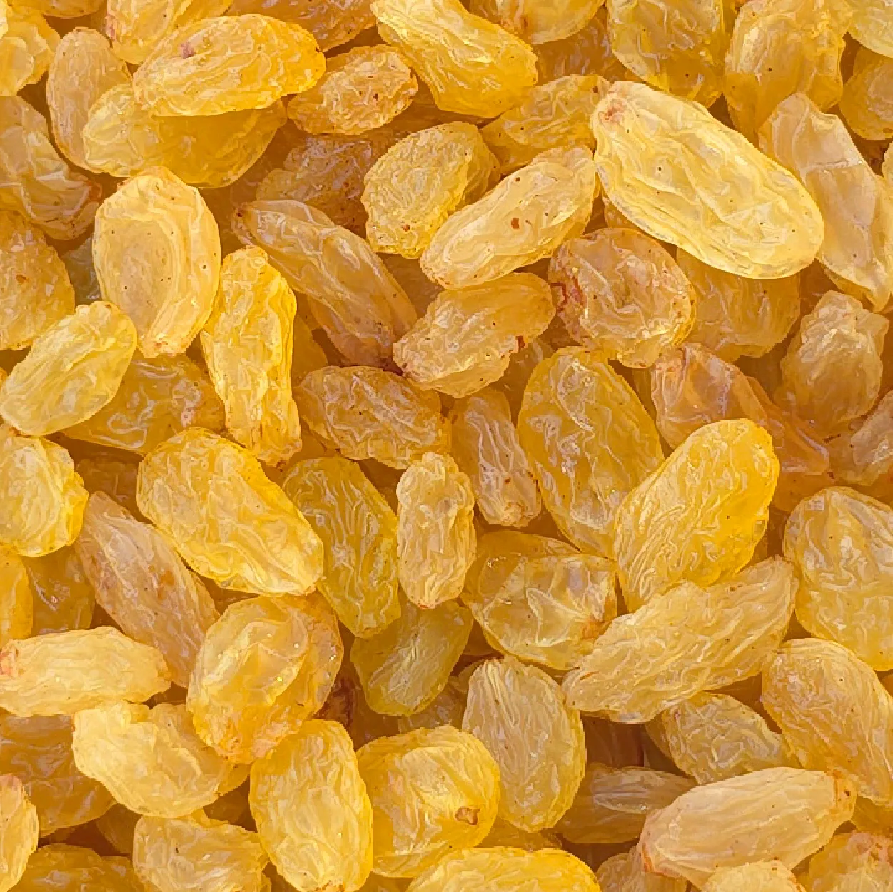 Raisins Manufacturer in India